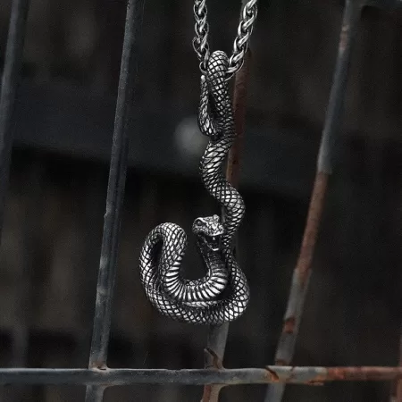 Erkek çelik yılan kolye snake