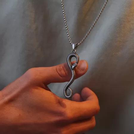 Erkek çelik titanyum yılan kolye snake